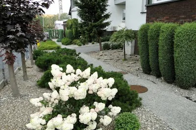 Szkolenia Podologiczne w Żorach